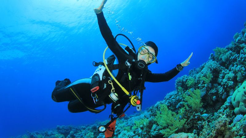 7 Best Places to Scuba Dive in the U.S.