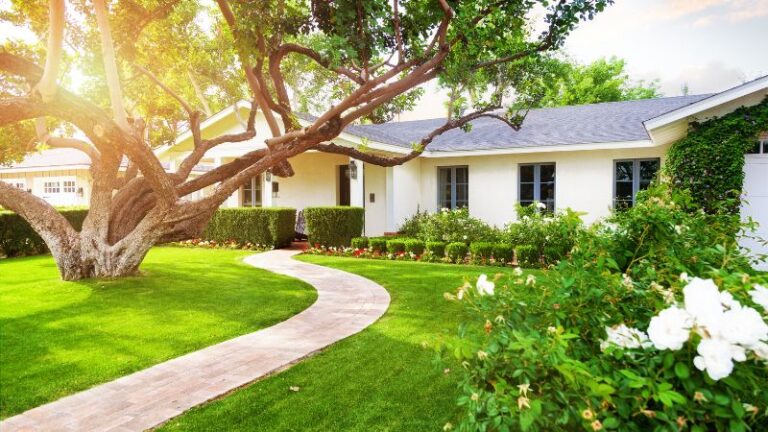 7 Cheap Landscaping Ideas to Improve Your Yard in 2024