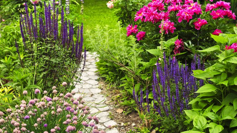 7 Perennial Flowers to Plant in May for Stunning Blooms for Years to Come