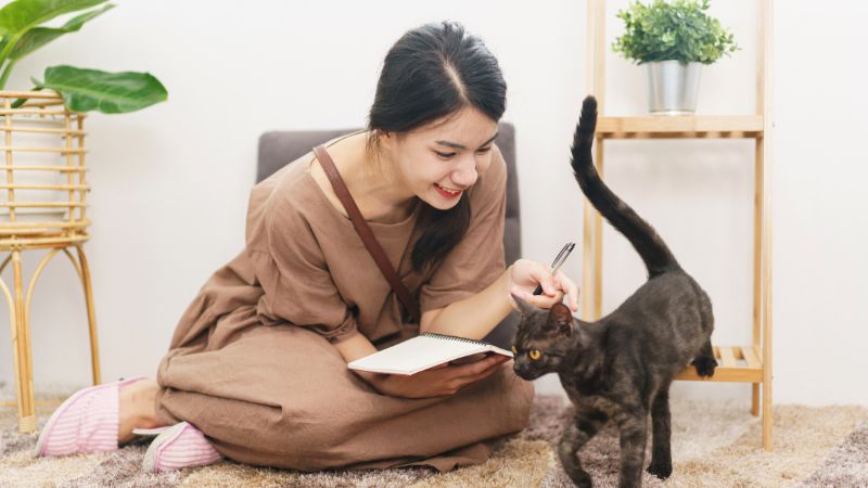 8 Major Things to Never Do as a Cat Owner