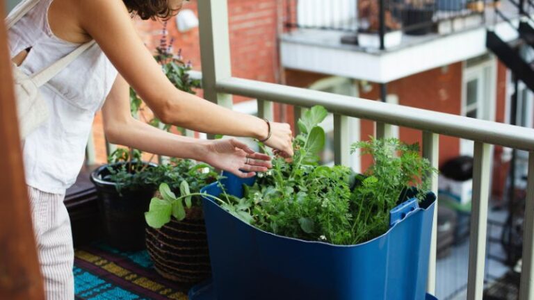 8 Small Balcony Gardening Tips for Urban Dwellers