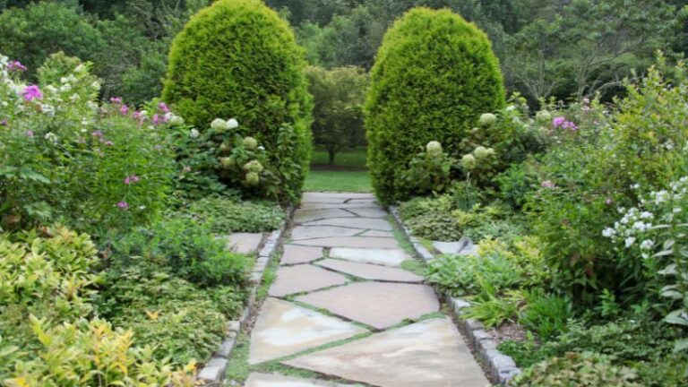 9 Plants That Make for Captivating Walkway Borders