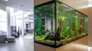 9 Popular Aquarium Fish for Your Home Aquarium