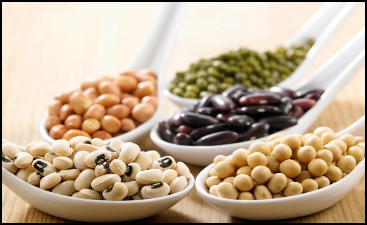 Beans and Legumes