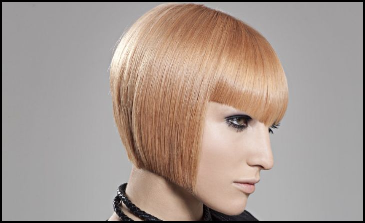 Sleek Angled Bob