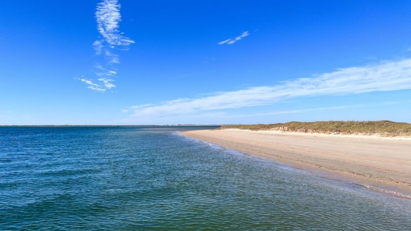 The 7 Best Beaches in North Carolina